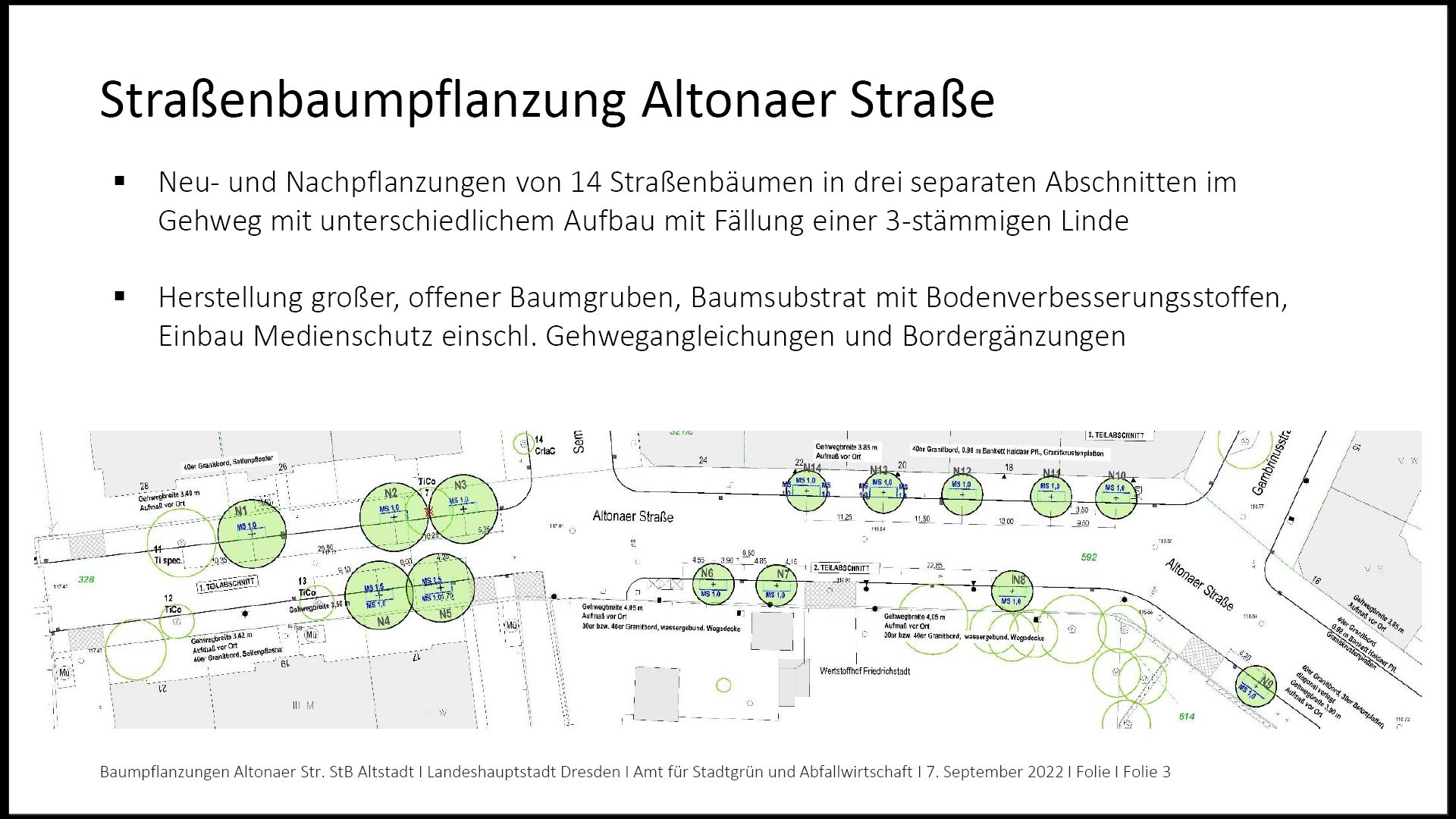 2022 09 strassenbaumpflanzungen altonaer strasse